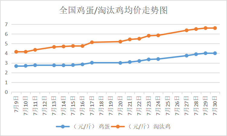 北京大洋路雞蛋今日行情，探尋內(nèi)心平靜的雞蛋之旅