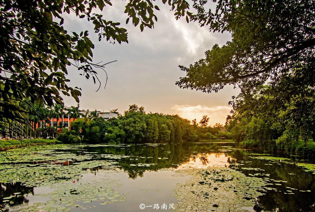 華南海域最新天氣報告，探索自然美景之旅，尋求內(nèi)心寧靜與平和的旅程