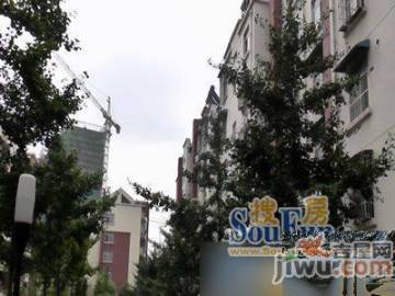 信宜玉龍山莊最新房價動態(tài)，機(jī)遇與自我超越的旅程